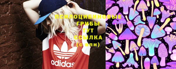 МДМА Новодвинск