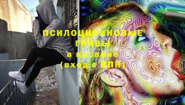 МДМА Новодвинск