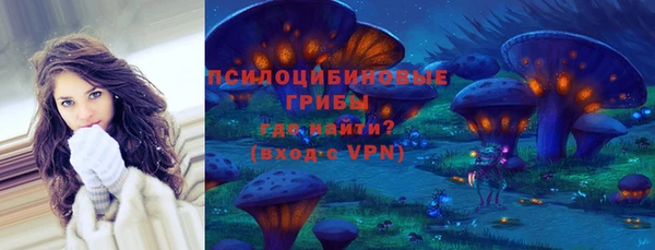 СК Новозыбков