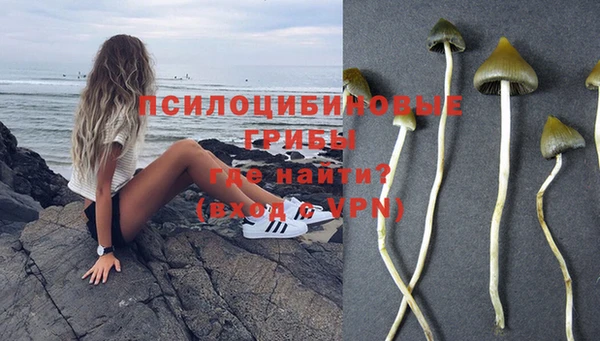 шишки Нефтегорск