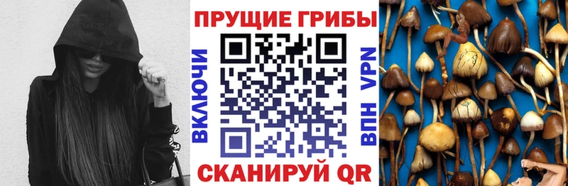 купить цена Катав-Ивановск darknet состав Галлюциногенные грибы мухоморы